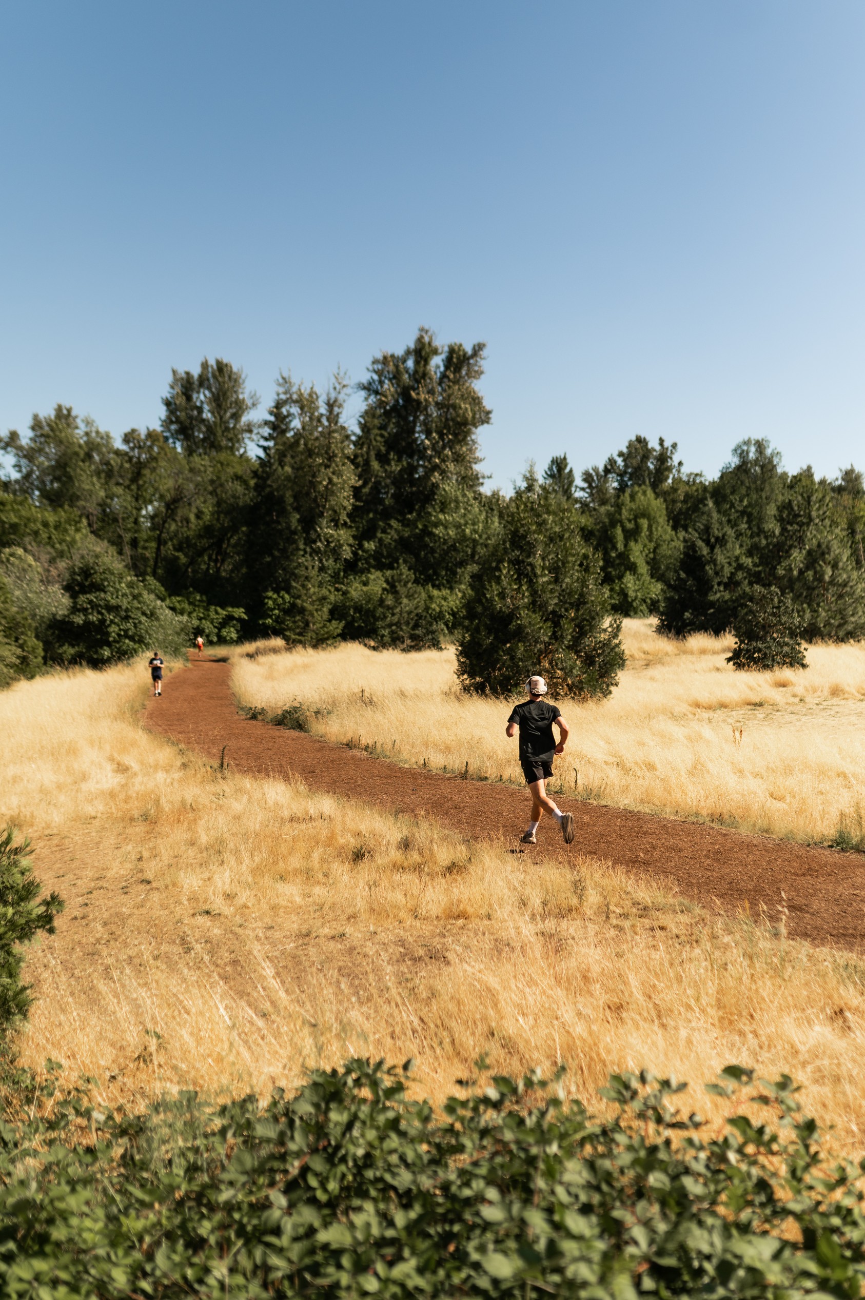 Runners on the riverbank trail in Alton Baker Park