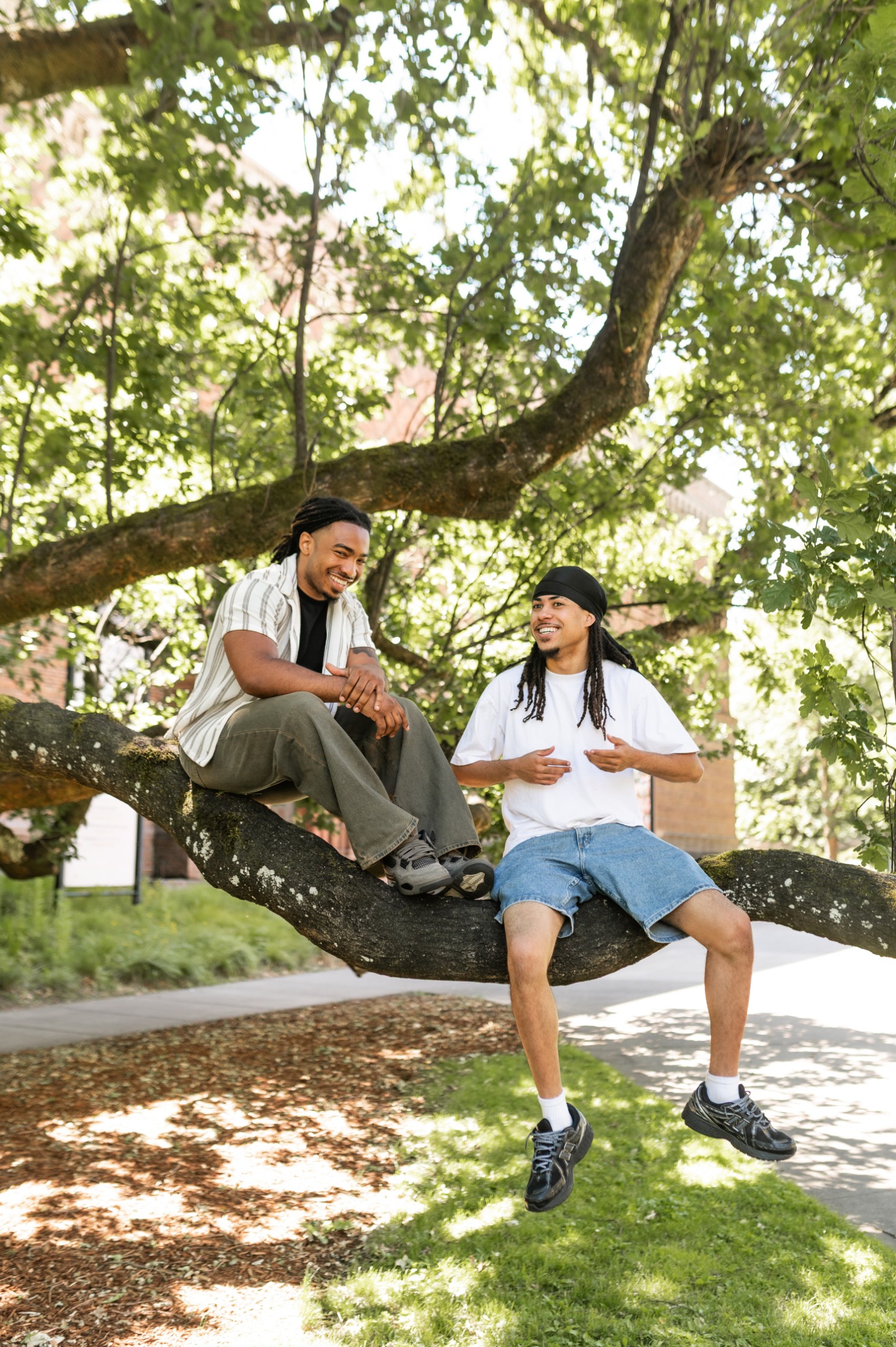 Two boys sitting on a low tree branch on the UO campus